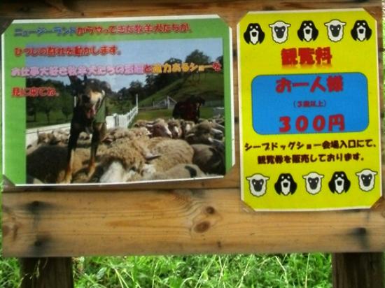 伊香保グリーン牧場の写真一覧 2ページ目- じゃらんnet