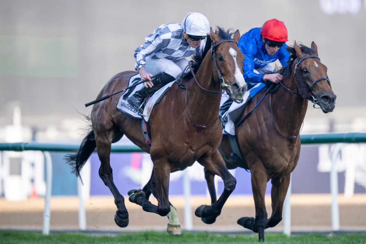 週刊ボーンマス ボーンマスと共に！契約延長ラッシュ- 2TIMO@AFCB