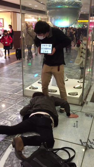 殺鼠剤 ねずみ駆除セット エンドックス 1kg + 毒餌皿20枚入 容器 トレー 付き 対応 ネズミ退治 : 虫退治.COM Yahoo!ショップ -通販 - Yahoo!ショッピング