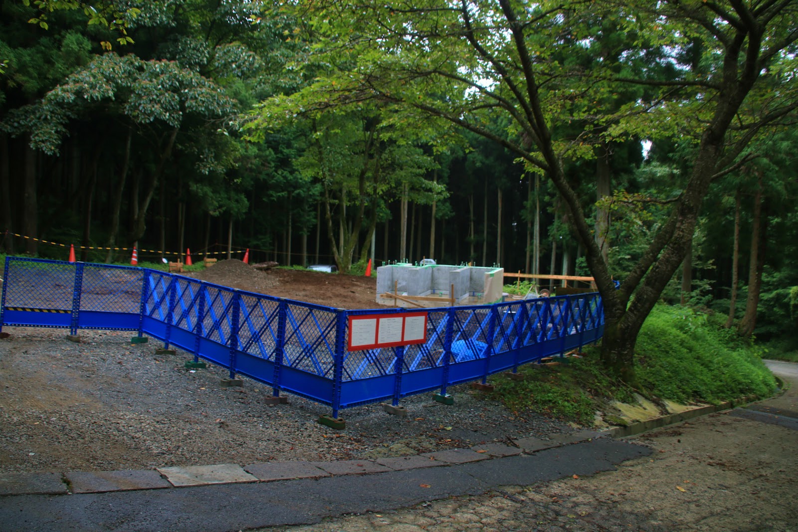 暑い時期にはヒルがスゴ過ぎて行けない表丹沢の代表格「葛葉川本谷」かずさんの塔ノ岳・丹沢山・蛭ヶ岳の活動データYAMAPヤマップ