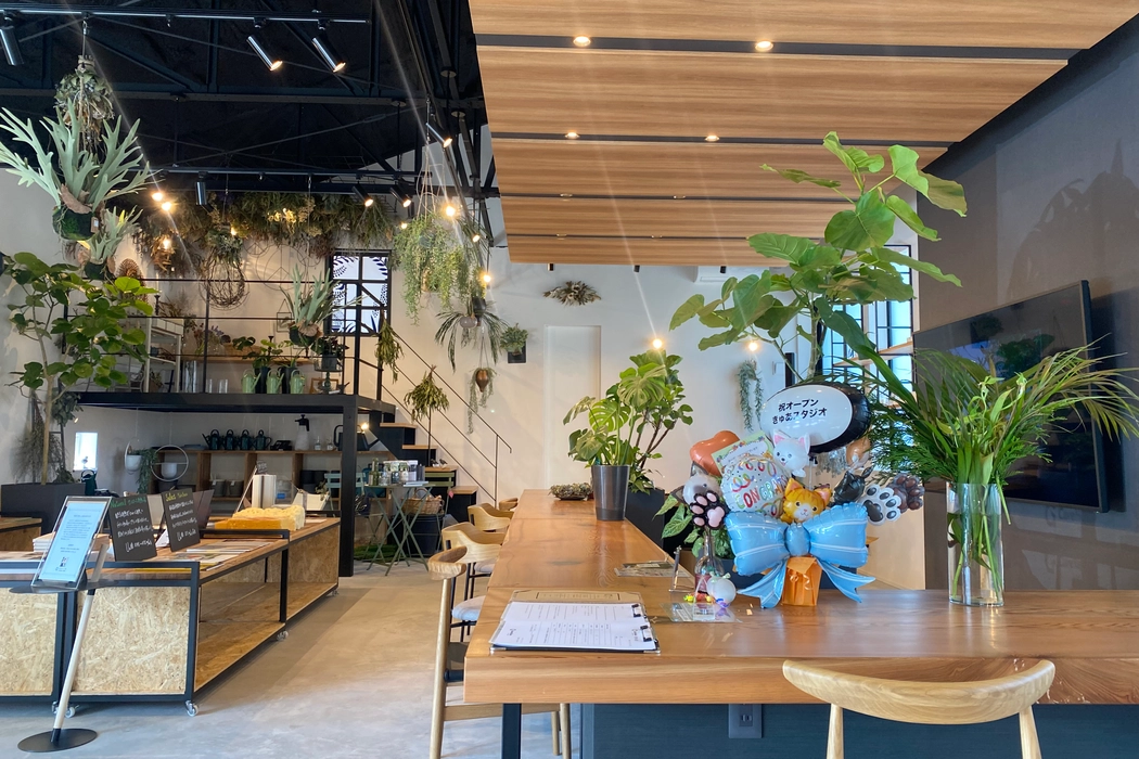 他の投稿は▶︎ @cure_homeあたりまえの毎日をもっとワクワクに新築注文住宅、リフォーム、外構 スタジオ・モデルハウスご見学受付中私たちは、関わりのある 皆さまの毎日を もっとワクワクにするため