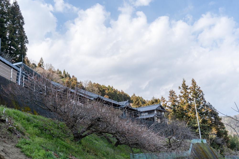大畠酒造へのレビュー・商品：徳島県食べチョク産地直送 産直 お取り寄せ通販 - 農家・漁師から旬の食材を直送