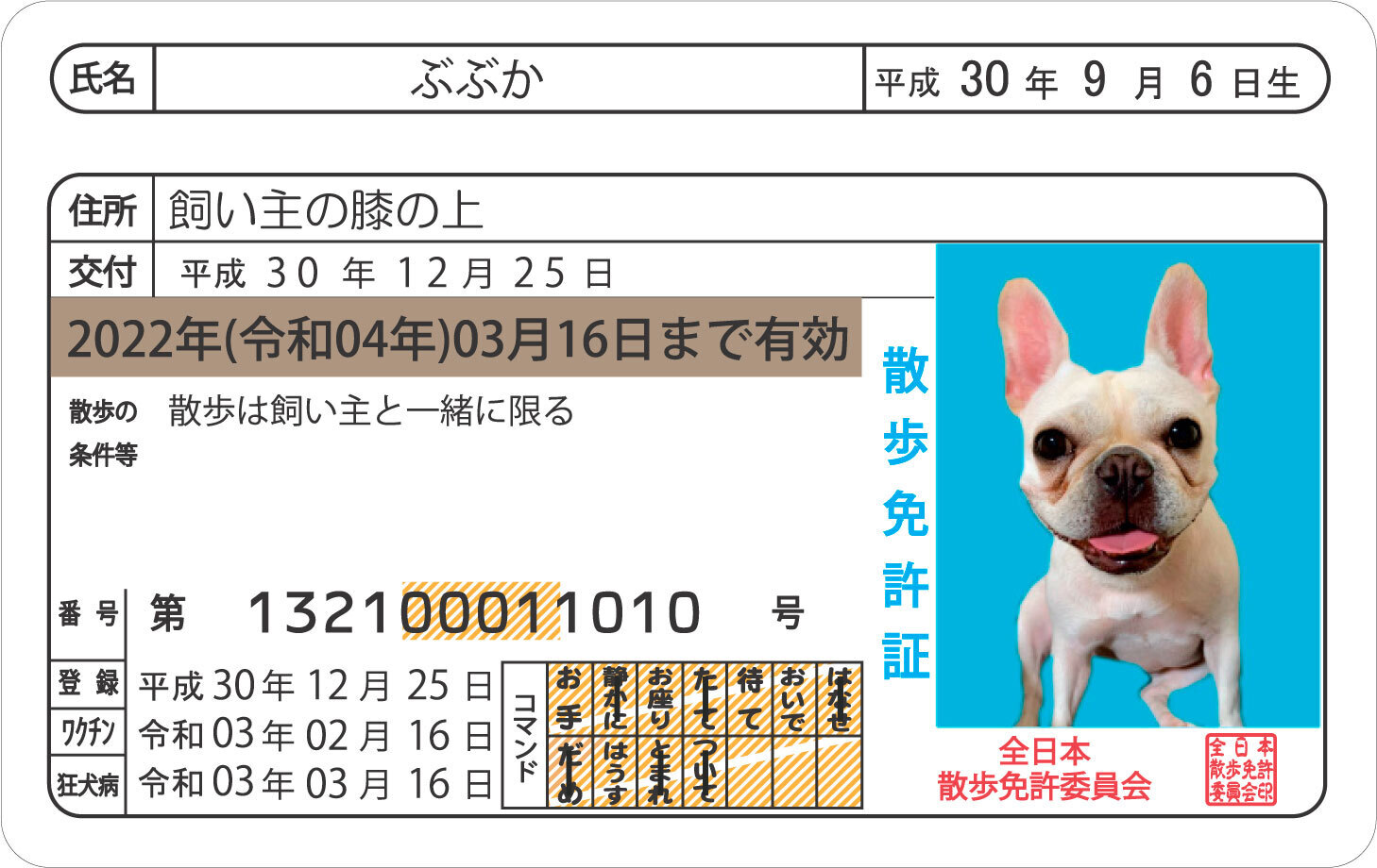 本人確認書類提出 FAX SBIネオトレード証券