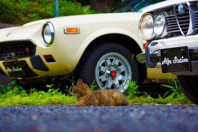 全国ナンバープレート代金 福井 岐阜 静岡 愛知 三重 保管場所申請料カーディーラーのブログ