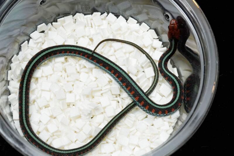 企業向け ビジネス系広告バナーの作り方！デザイン初心者でもわかる配色・フォント・レイアウトのコツデザインのン