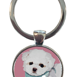 Amazon凛JAPONESQUE 十六菊 Tシャツ XXL メンズ 家紋 菊紋 日本 パスポート TシャツTシャツ・カットソー 通販