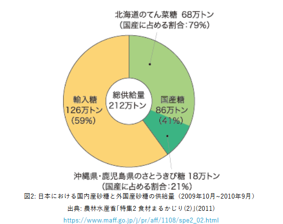 サトウキビと砂糖の関係歴史や現状、作り方、バイオエネルギーも