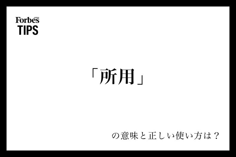 こんな時って何を考えているの？』犬が勝手に伏せをする意味わんちゃんホンポ
