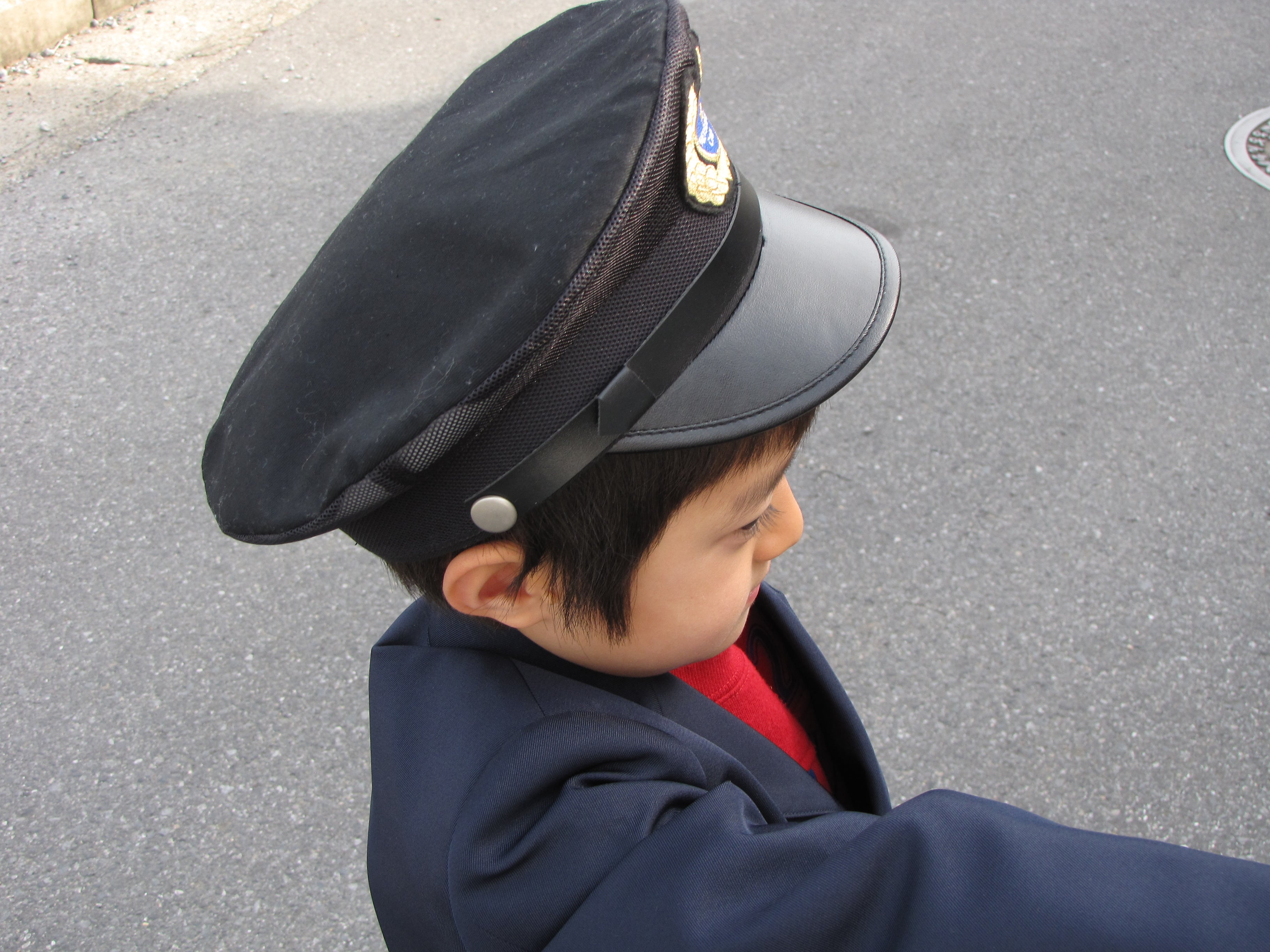 ペーパークラフト電車 高麗人参 健康食品 通販市場売上高NO.1 金氏高麗人参