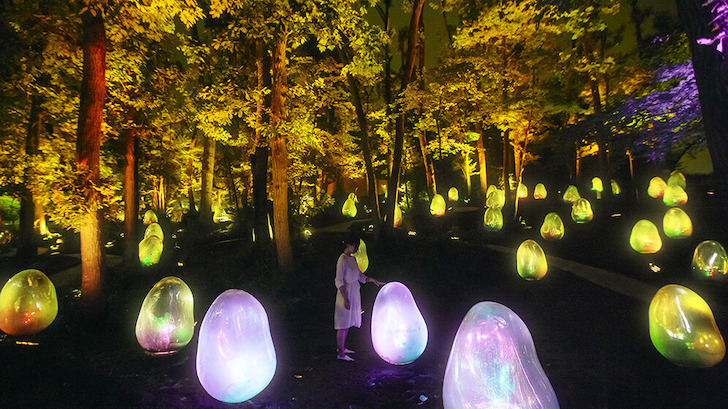 東京 無料スポットも！お金のかからないデートプラン30選