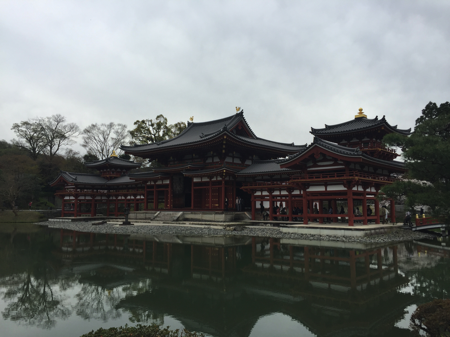 千寿 大徳寺派 極楽禅寺 西垣大道 歩々是道場 一行 紙本 a499