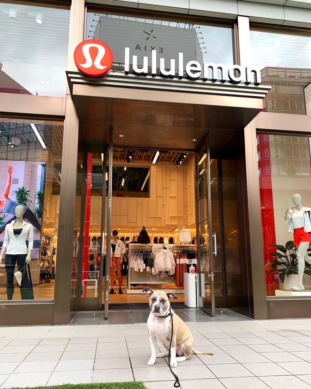 ルルレモン､｢商品を売らない｣異色の成長戦略 カナダ発｢衣料品ブランド｣が六本木に旗艦店専門店・ブランド・消費財東洋経済オンライン