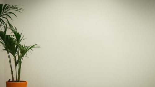 パワポでWeb会議用のオリジナル背景を自作する ～背景だってかぶりは避けたい - 残業を減らす！Officeテクニック - 窓の杜