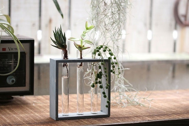 試験管タイプの花瓶のおすすめ人気ランキング 2025年マイベスト