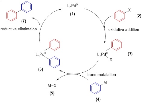 共同発表 かさ高い脂肪鎖を「鈴木－宮浦型カップリング反応」に適用することに成功 -ハイブリッド触媒系の新提案-発表主体：山口大学-東京大学生産技術研究所