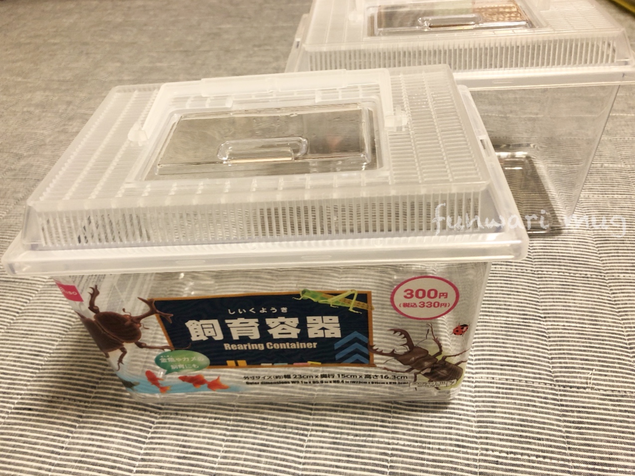 虫かご DAISO ワイド飼育ボックス