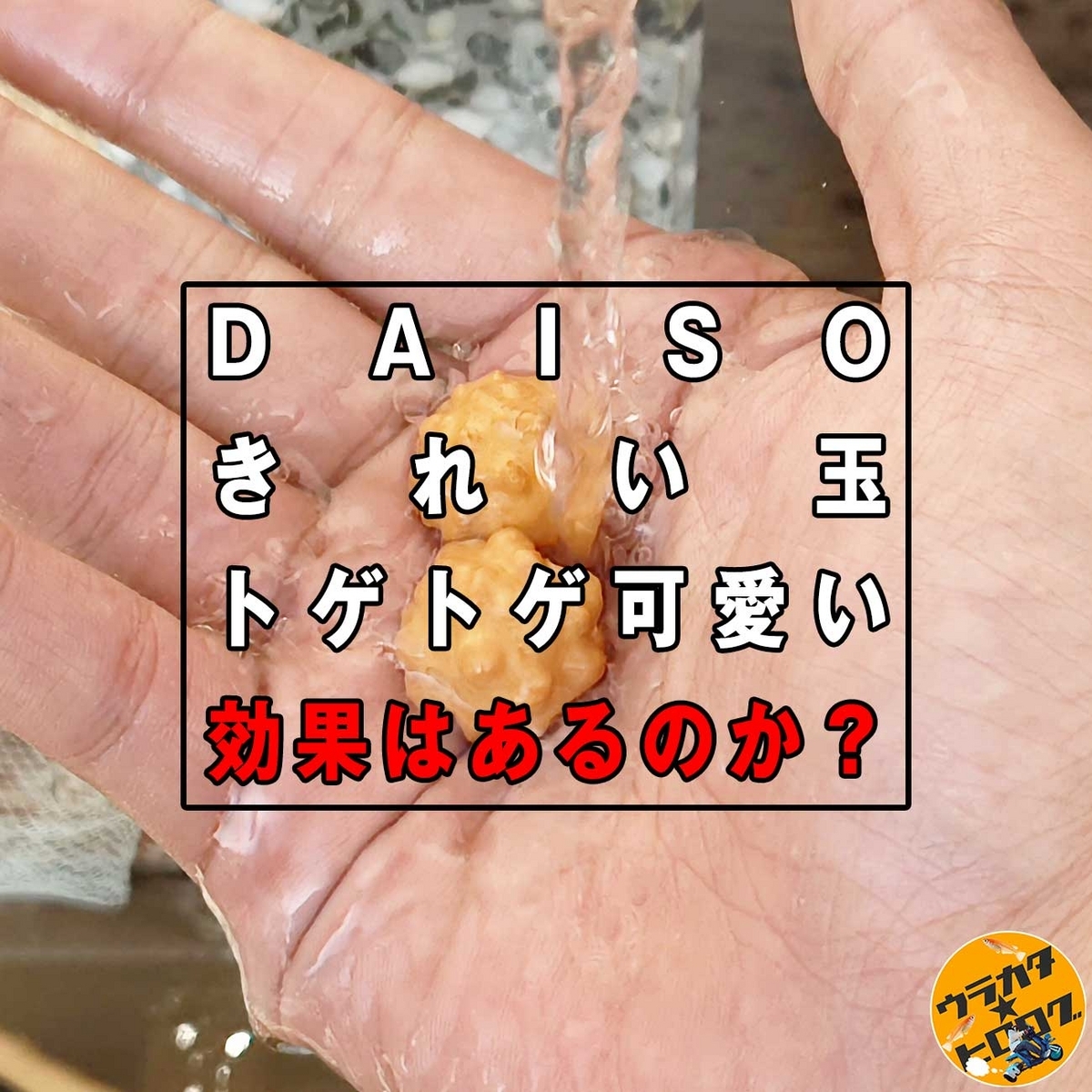 ダイソー もう迷わない！ひとつにまとめて持っていける便利なお弁当グッズ 100均さきモカ- エキスパート - Yahoo!ニュース