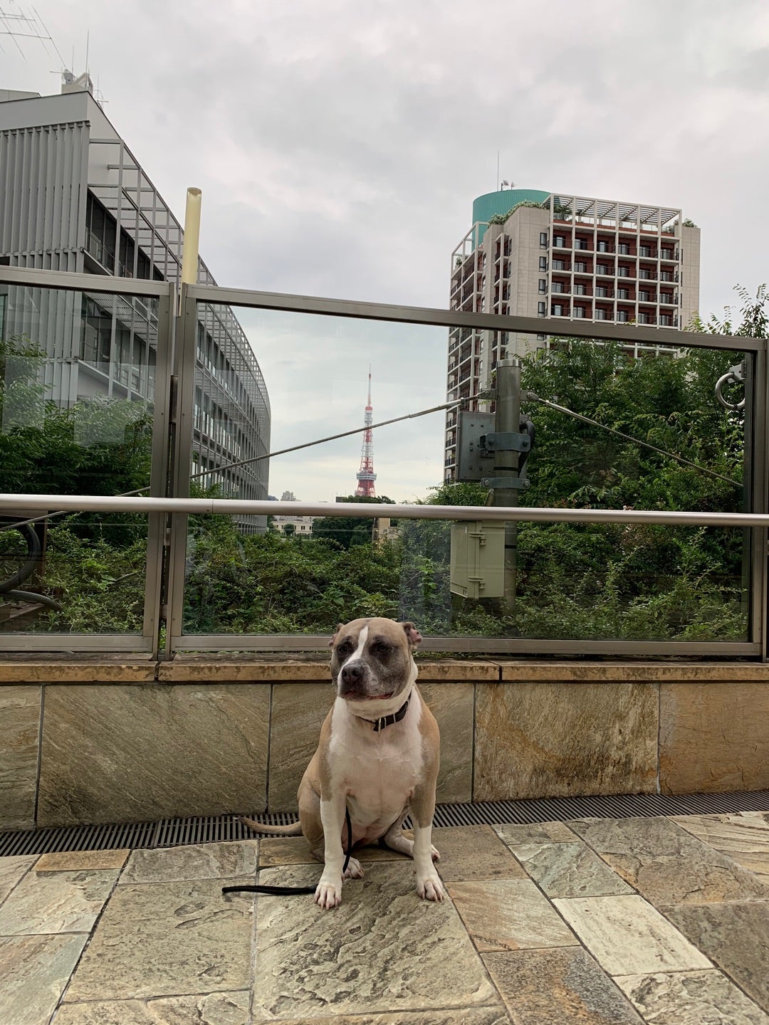 ルルレモンを卒業しました🍋🤍 1年と7ヶ月、辛いこともいっぱいあったけど、それ以上のたくさんの素敵な出会いに恵まれて幸せでした🫶🏻 thankyou @lululemonjp roppongi 💐