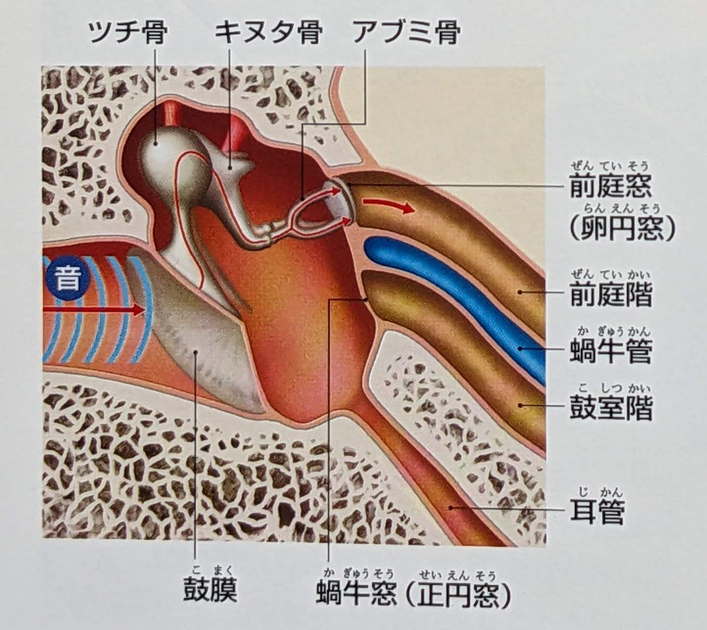 基板設計 パターン幅とビア径の決め方アナデジ太郎の回路設計