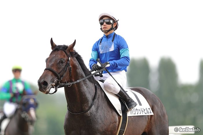 ハリウッドヒルズ地区の写真素材 - PIXTA