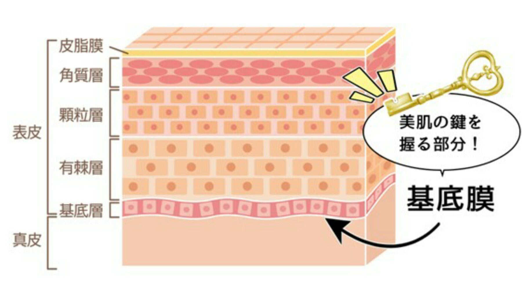 アニメで楽しく学ぶ脳と神経のお話