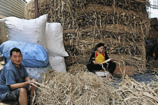 三椏 ミツマタ- 必ず三つに分かれます。kami-to-nuno*P