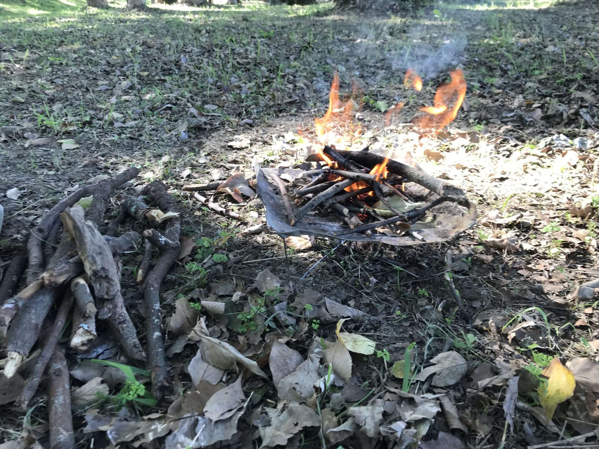 薪拾いはどこでする？違法にならない場所や方法、コツについて「森の中」森を知り、感じるためのメディア齋藤木材工業株式会社