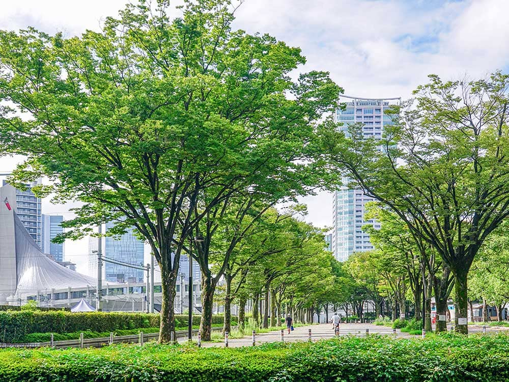 代々木上原の住みやすさを徹底検証！ 治安は良い