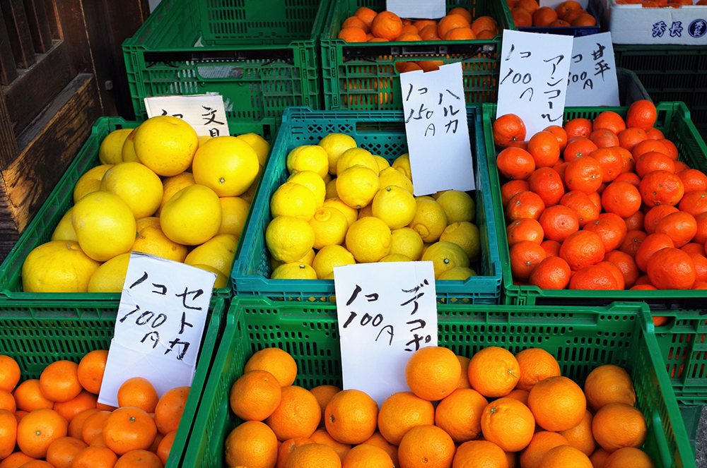地産地消のメリット・デメリット農家が得られる効果と経営事例