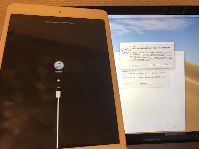 パソコンなし iPod Touchを強制初期化対策AnyUnlock2.0.8.6が発表:ドリームニュース - Miyanichi e-press