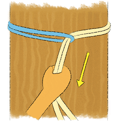 知っておきたいロープワークキャピタルマリーナ