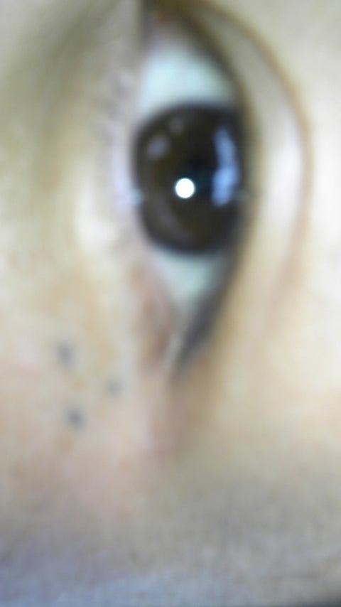 Dai Yoshida على X: 