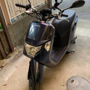 ダンク ホンダ HONDA DUNKZuttoride Market ずっとライドマーケット