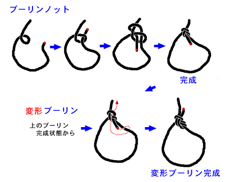 ひもとロープの結び方成美堂出版