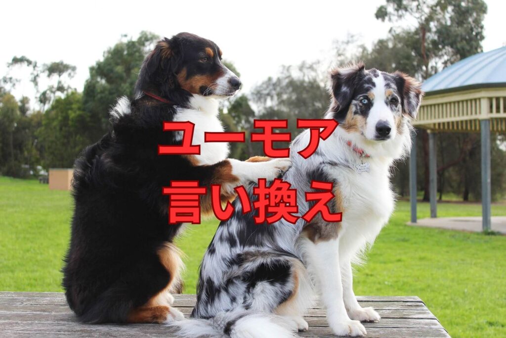 きちんと と ちゃんと と しっかり の意味の違いと使い方の例文例文買取センタ