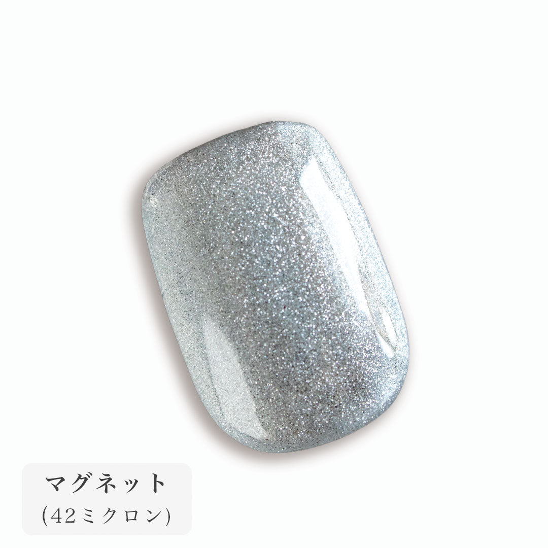 AmazonCOLORBIRD ネイルチップ ショート 24枚 シルバー マグネットネイル ネイル 付け爪 チップ 短め 可愛い ポイントW1559COLORBIRDネイルチップ 通販