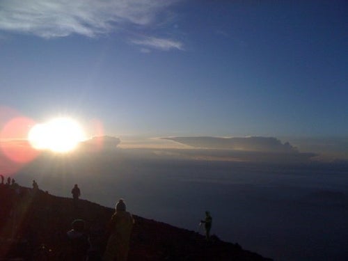 The Whale ザ・ホエール 自由に生きる代償、贖罪、そして赦しとは小心者の大胆不敵