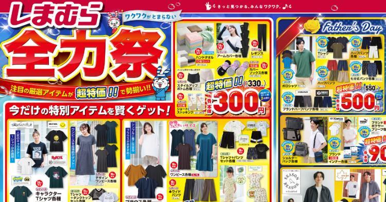 コメリハード＆グリーン高鍋店のチラシチラシプラス