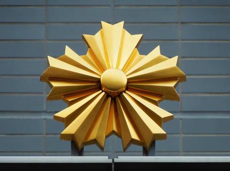 名入れ無料送料無料国産ウォールナット印鑑ケース 警察 消防 自衛隊 警視庁 ロゴ マーク入 印鑑 ケース 名入れ 木製 日本製 記念品就職祝い 昇進祝い 卒業 ギフト プレゼント おしゃれ 高級 贈り物 はんこ ノベルティ ロゴ -BLUE HANDS - プレゼント＆ギフト