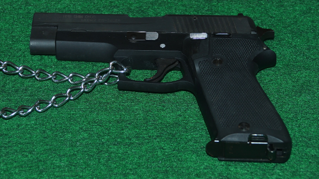 空気銃の弾の特徴・弾道・種類や弾の速さを銃砲店が徹底解説 - シューティングサプライ