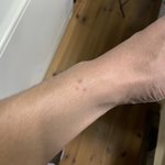 TVアニメ『三ツ星カラーズ』キャラクターソングシリーズ01 結衣 公式試聴動画