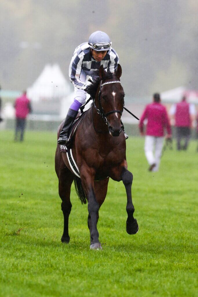 ジャパンカップ 武豊ドウデュースの末脚炸裂！G1・5勝目をマーク 競馬のおはなし ｄメニューニュース NTTドコモ