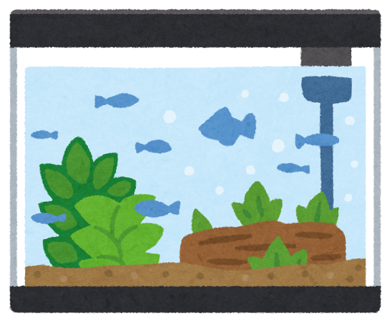 体育・平均台のイラスト02イラスト無料・かわいいテンプレート