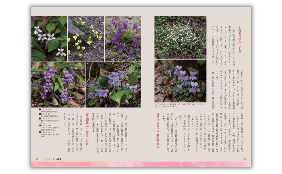 5 21 日 マルシェinワークラボ八ヶ岳 11:30からマルシェを開催します！茅野市 ベルビア 公式サイト