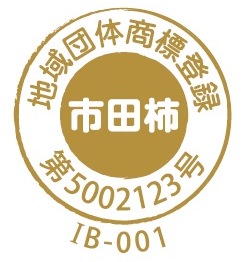 商標マーク®︎のあるロゴ制作で気をつけたいことb.labo