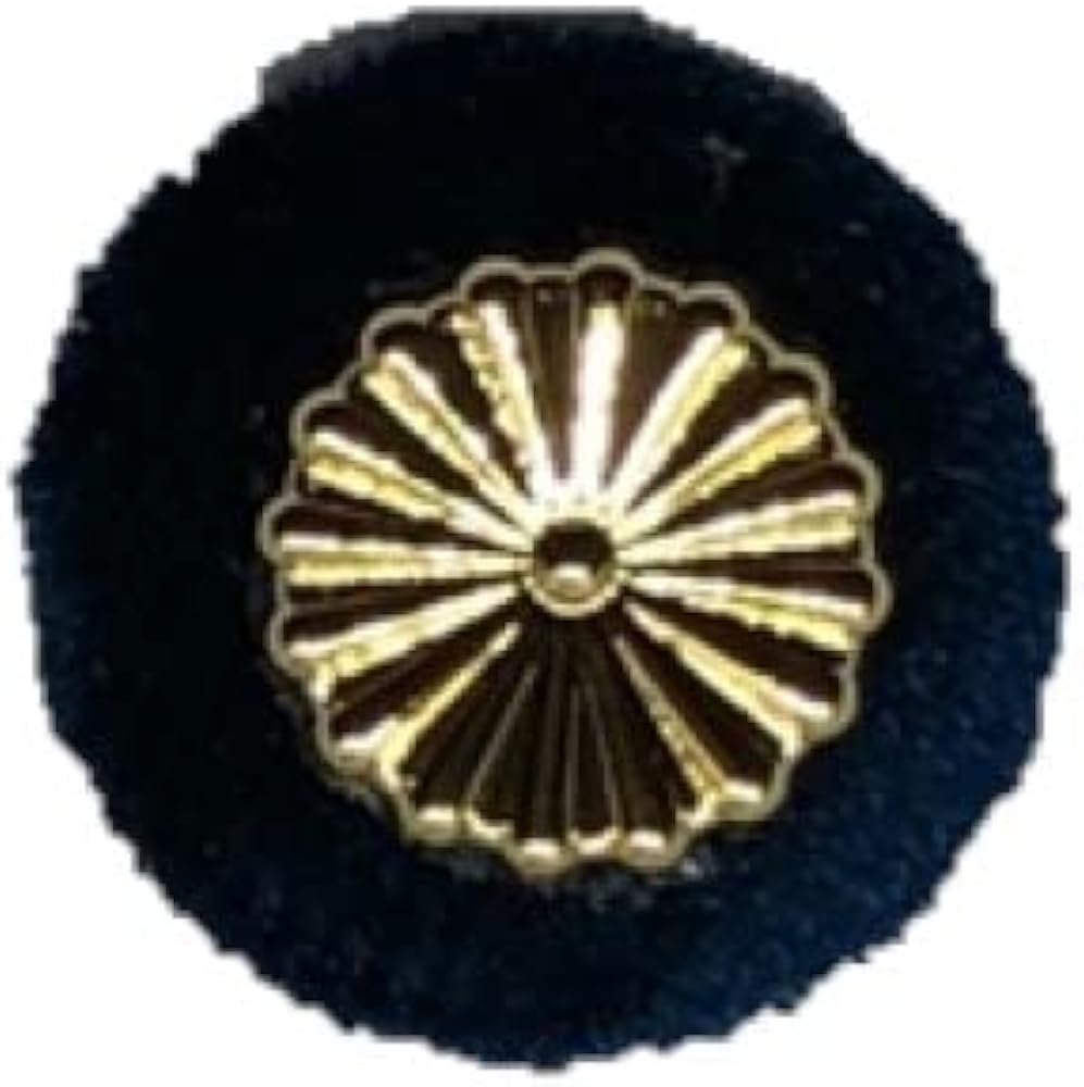 稲田朋美防衛相、議員バッジつけずに国会答弁してヒゲの隊長から注意されるハフポスト NEWS