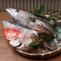 こんばんは！またふく堺東店🐟🩵です！ 本日のおすすめ ずわい蟹のお造りです🦀🌟 メニューに載ってる時はぜひぜひご注文下さい ๑˃̵ᴗ˂̵ *♡歓迎会等の宴会の予約も承っております👍🏻👍🏻 皆様のご来店お待ちしております😉❤️‍🔥 ⏰営業時間：17時〜🚬⭕️ ☎️072