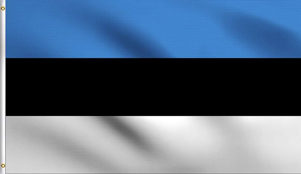 エストニア共和国の国旗＿フラットイラスト - No: 23107061無料イラスト・フリー素材なら「イラストAC」