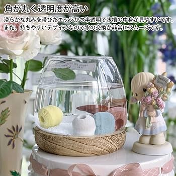 ドイツ アンティークコインの歴史と価値 8種類の金貨・銀貨コインライブラリー・プリンシパル