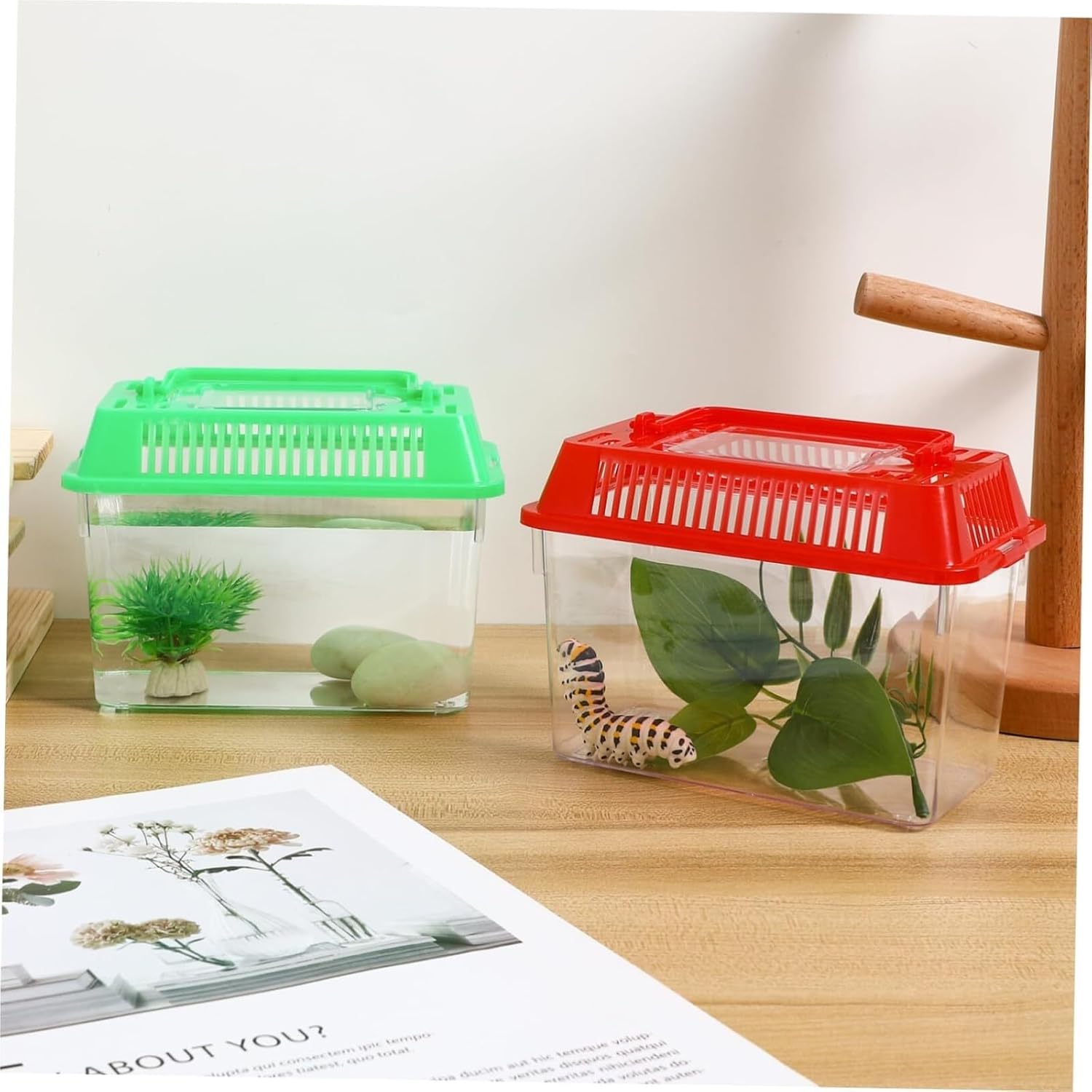 ﾀﾞｲｿｰ虫かご2025いつからいつまで？大飼育ｹｰｽｻｲｽﾞ&虫取り網,ｶﾌﾞﾄﾑｼ昆虫ｾﾞﾘｰやﾏｯﾄ&ｾﾘｱも - 100均✖Sweetsレシピ‼